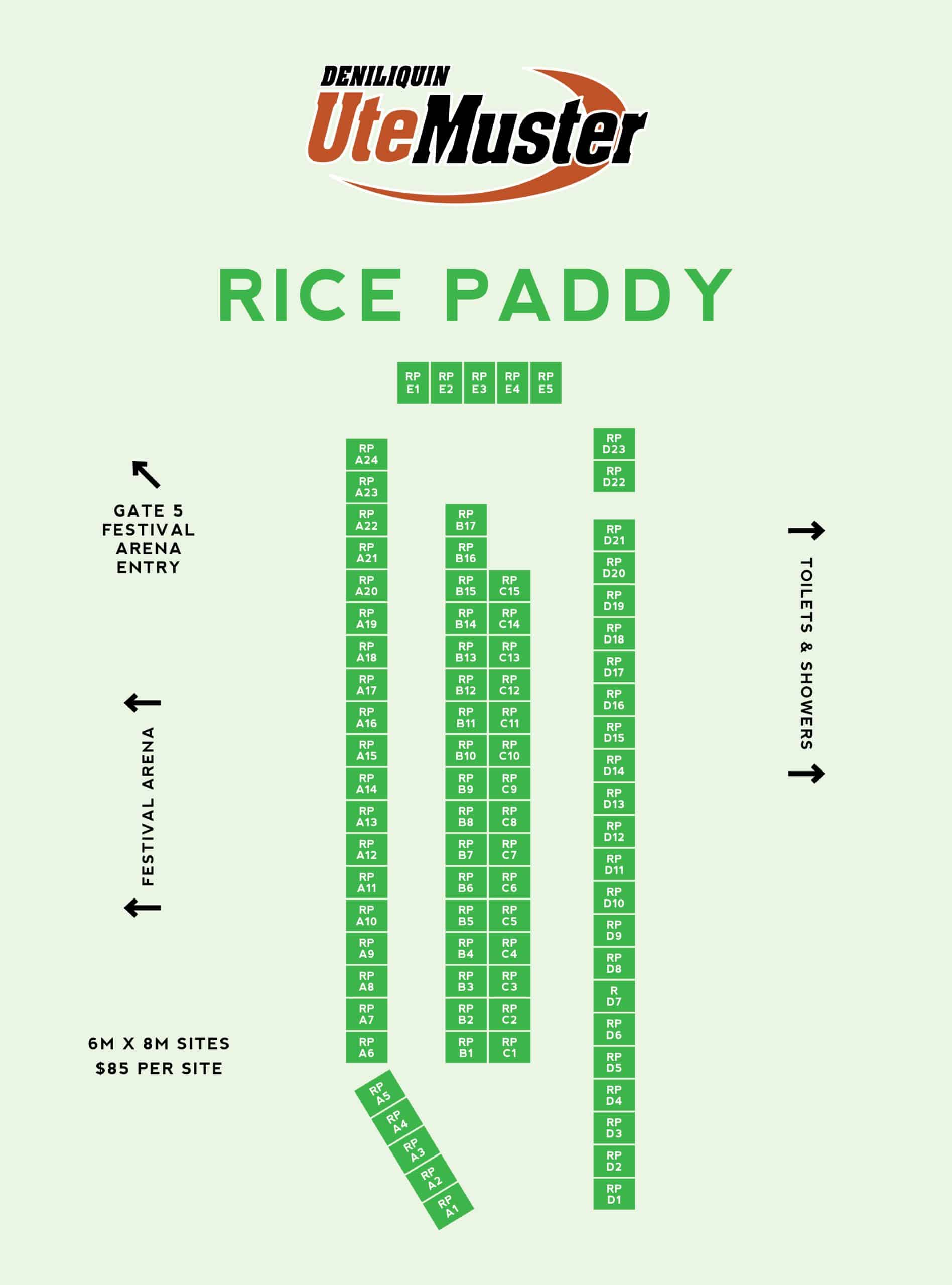 Rice Paddy